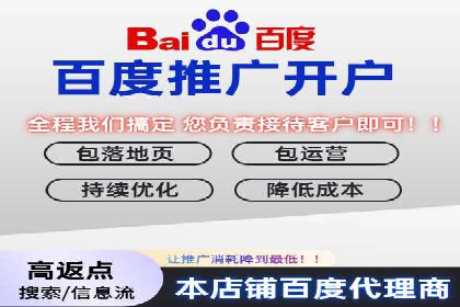 行业领先企业的SEM推广代运营实战经验
